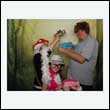 gawedding_0228