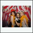 nwclaw_0796